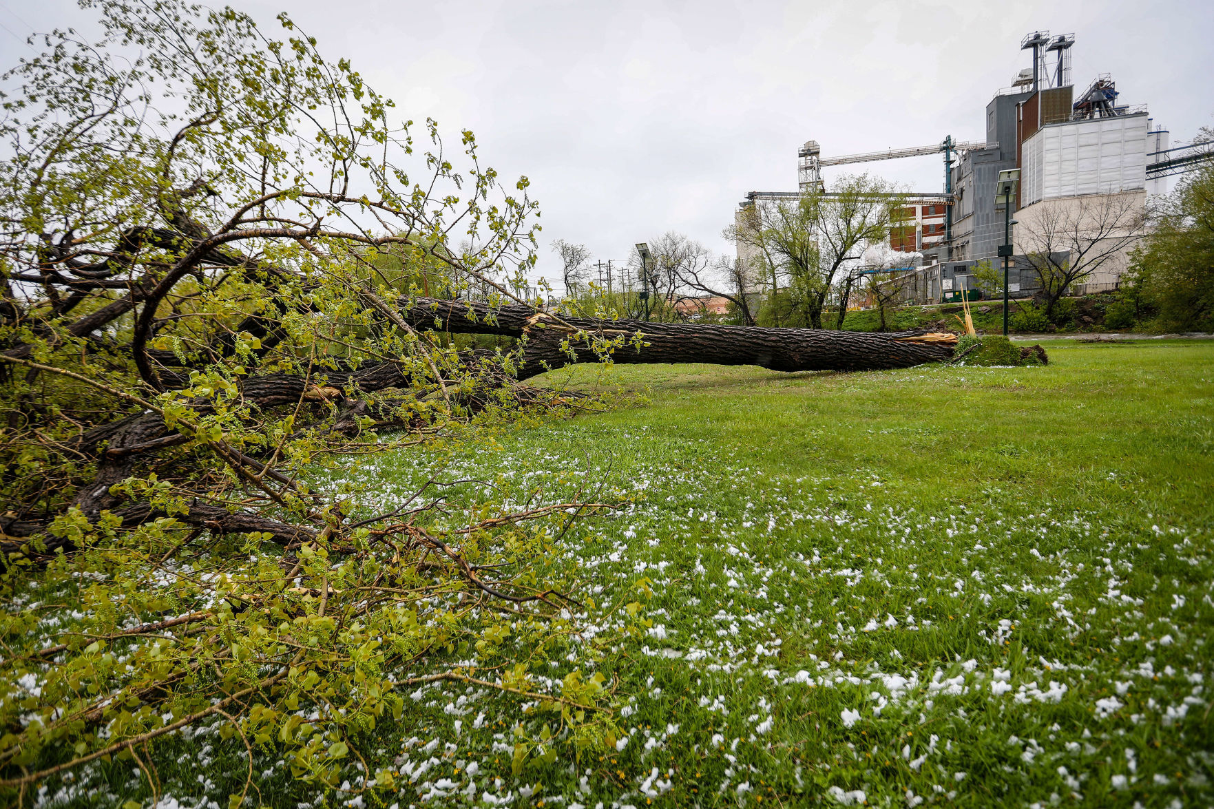 May Weather